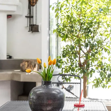 Appartement Marjan Forest Dream *