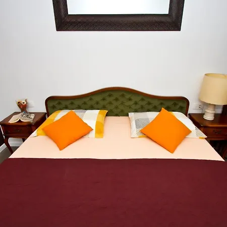 Marjan Forest Dream *