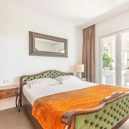 Marjan Forest Dream *