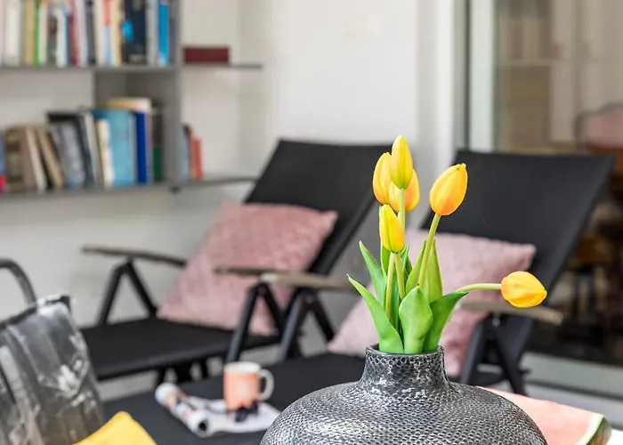 Marjan Forest Dream Split