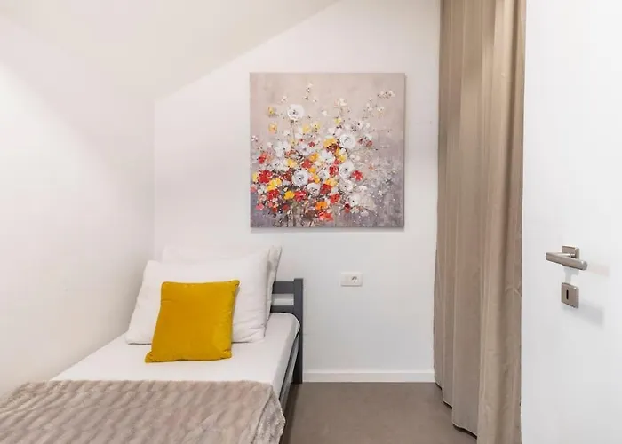 Marjan Forest Dream *