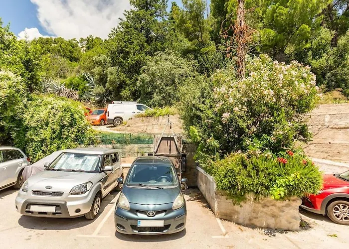 Marjan Forest Dream Split